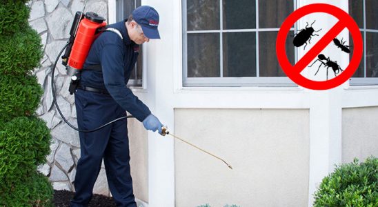 Mamak Hamam Böceği İlaçlama böcek ilaçlama ve haşere kontrolü — ilaclama-tr.com